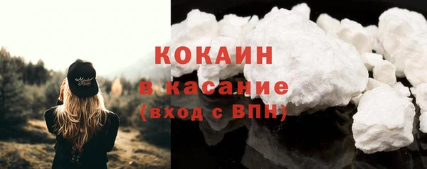 сатива Болохово