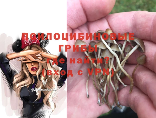 хмурый Краснослободск