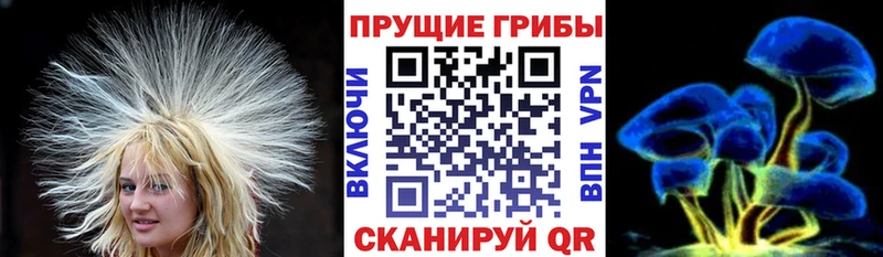 сколько стоит МЕГА сайт Псилоцибиновые грибы Psilocybine cubensis Красноперекопск